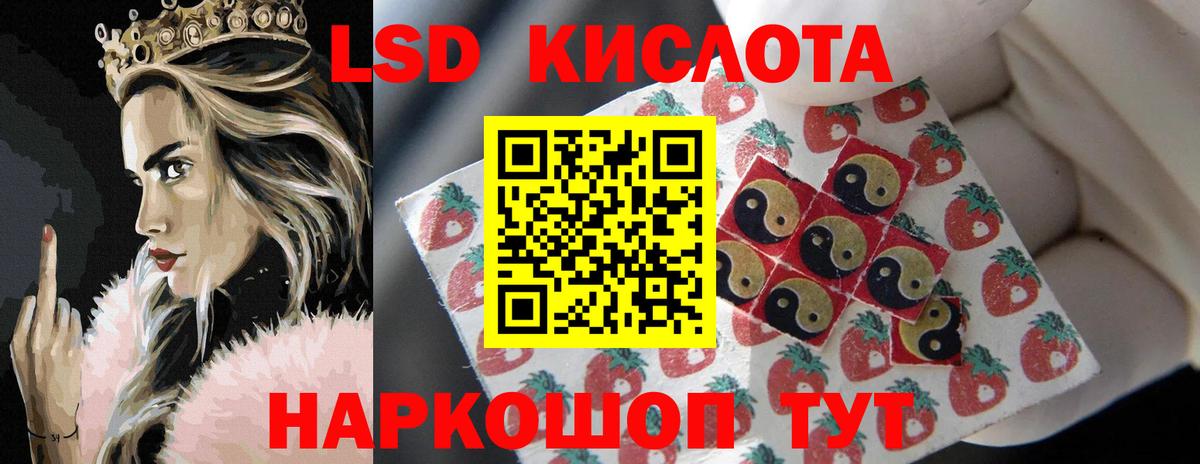 Курчалой  Лсд 25 экстази ecstasy  Лсд 25 экстази ecstasy  Вход с VPN 